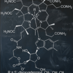 Vitamin B12 (cobalamin) featured image