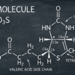 Biotin Supplementation: The Complete Scientific Guide to Evidence and What the Research Actually Shows featured image