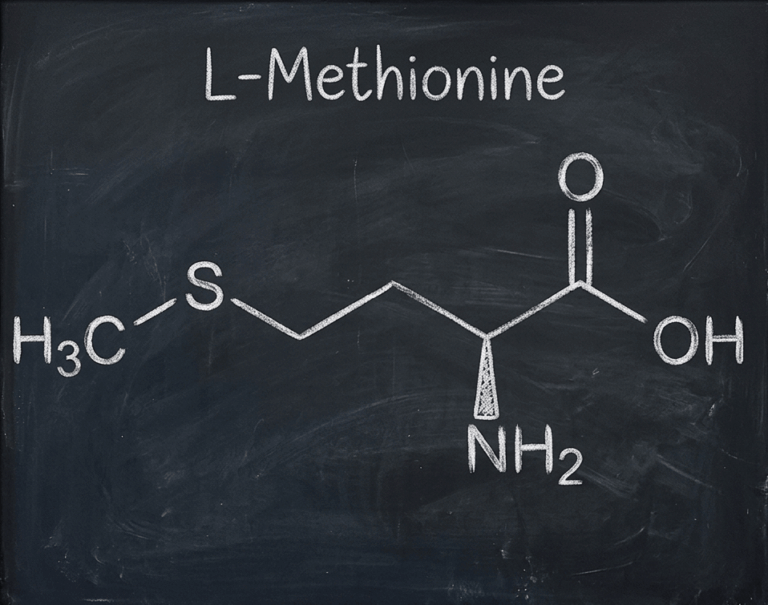 L-methionine featured image