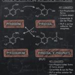 Vitamin B6 (pyridoxine): what PLP does, supplementation evidence, and toxicity risks featured image